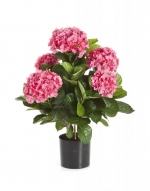 Hortensia 53cm Roze 